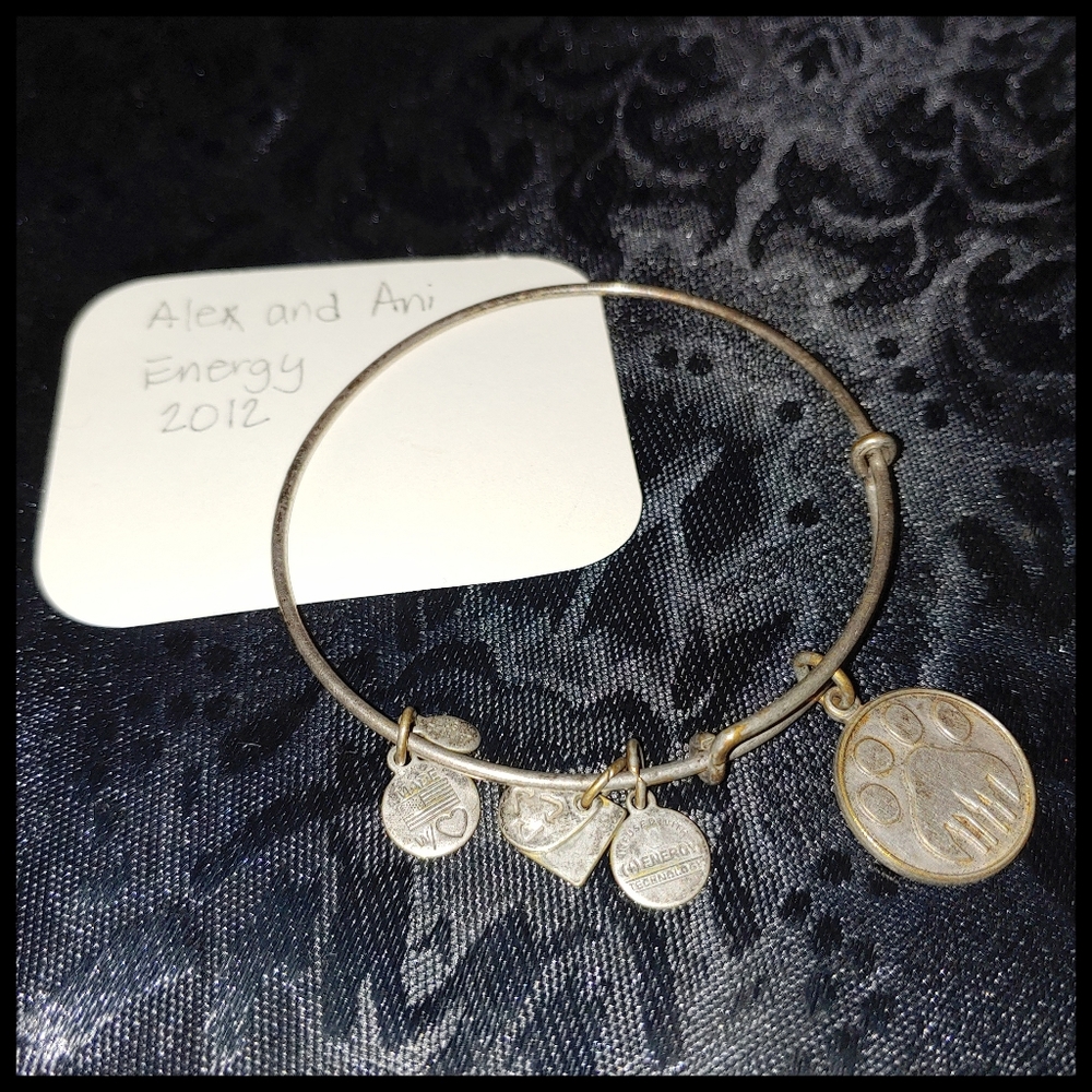 Alex and Ani Energy Infused Bear Paw Bracelet